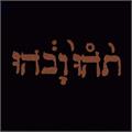 Godspeed You! Black Emperor Slow Riot For A New Zero Kanada (LP)